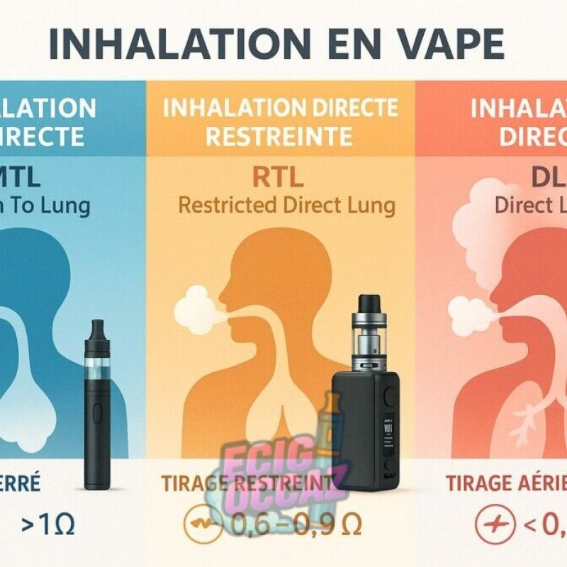Choisir entre MTL et DL
