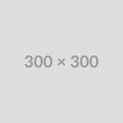 Anthro Studio